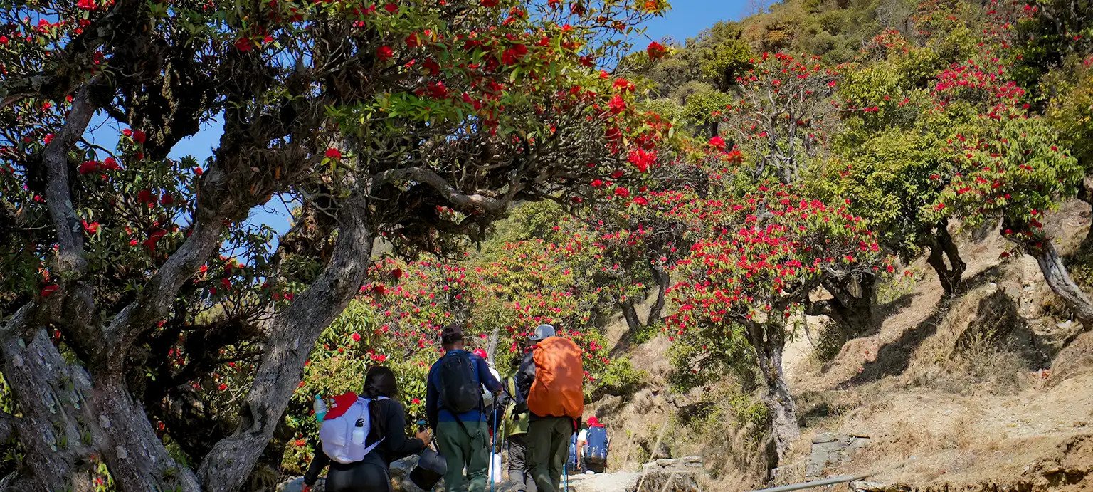 Brahmatal Trek