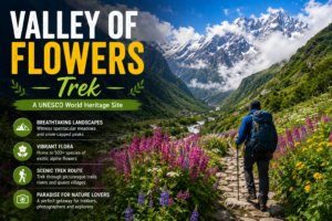Valley of Flowers Trek